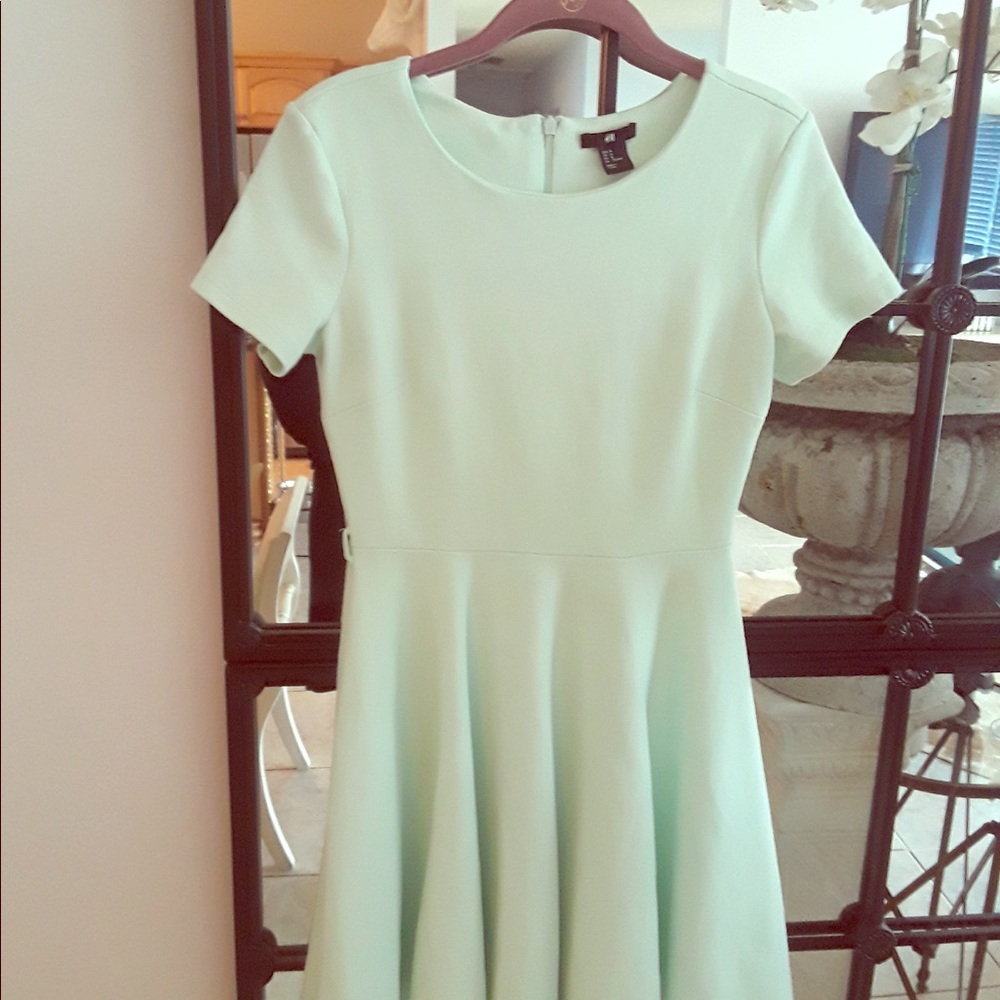 Mint Fit & Flare Dress